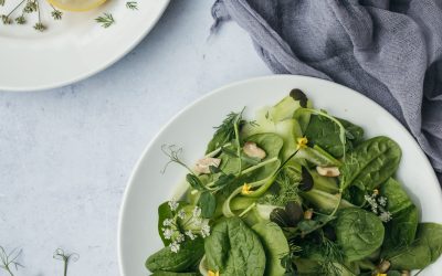 El secreto de las hojas verdes